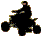 ATV Silhouette